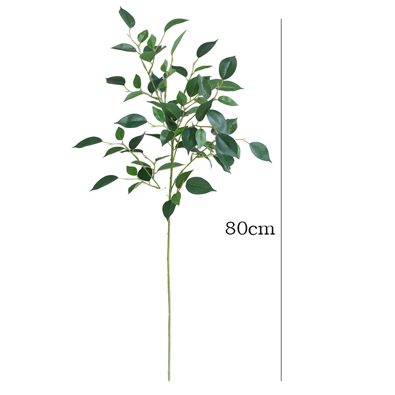 Ramas de Ficus Artificiales de - Photography Graduation reseña y precio